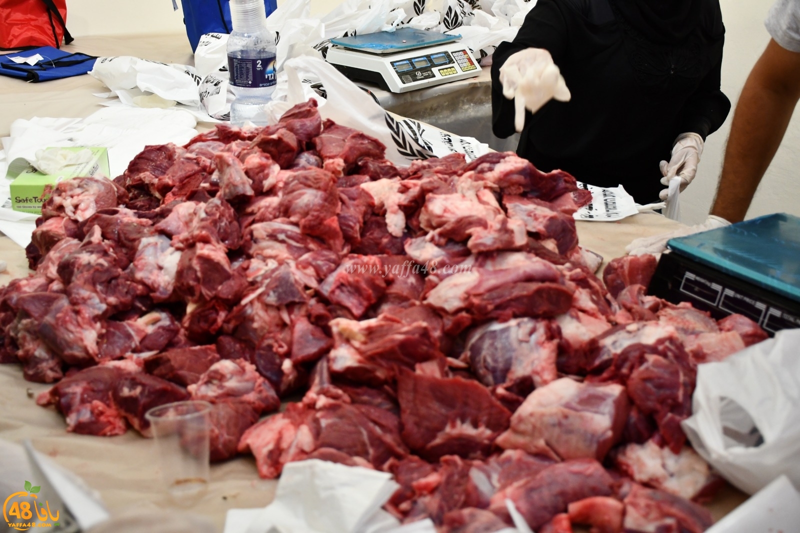 Adada7aeeqj (5).jpg.jpg.jpg